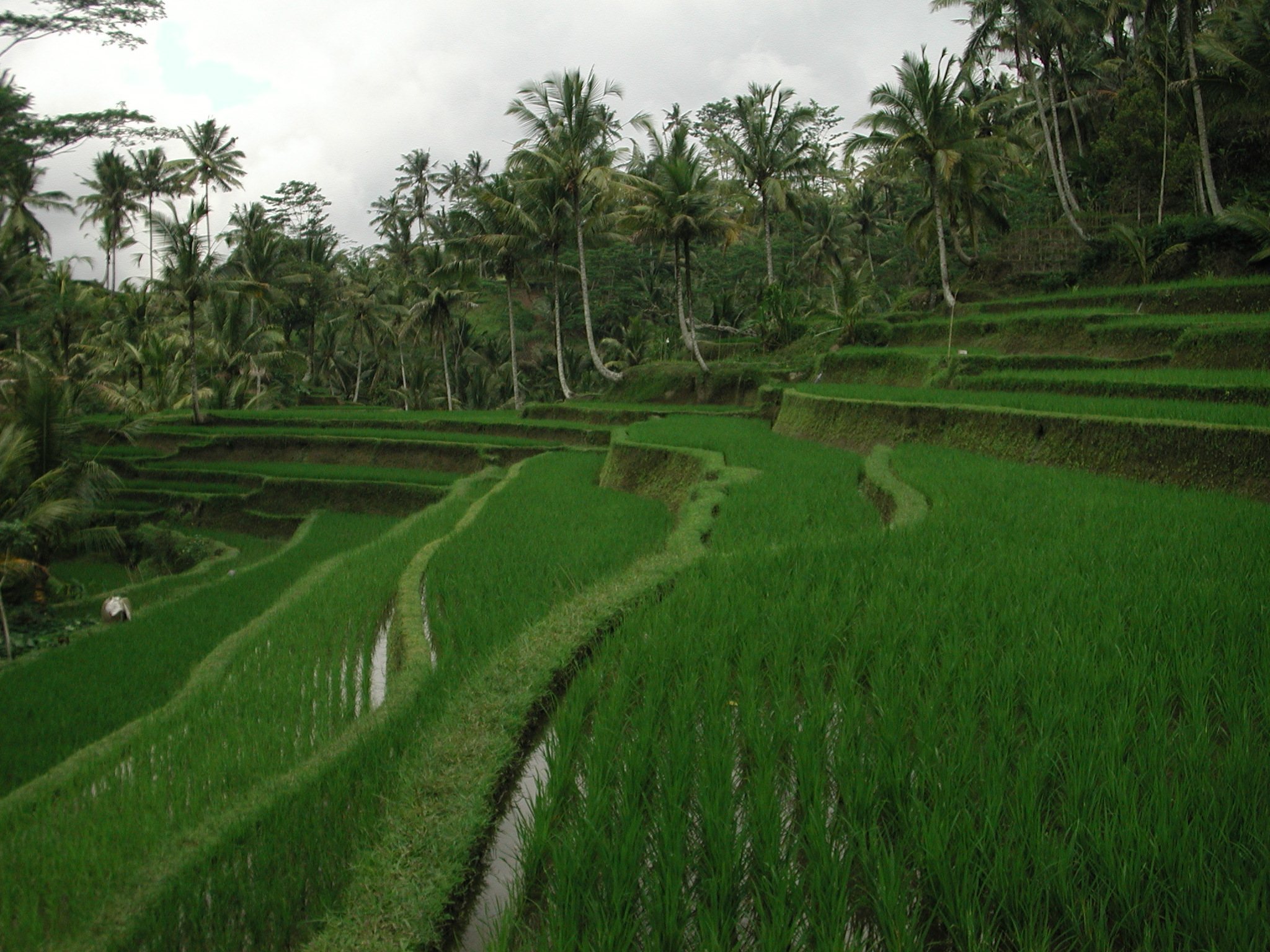 Singapore & Bali — Eastbound Escapes itinerary